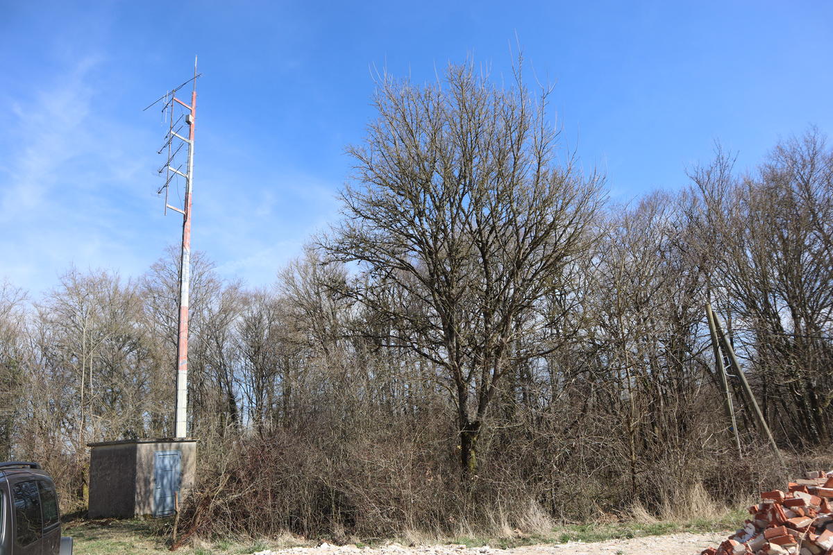 Primary Image for F5ZYS