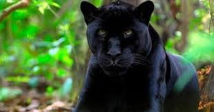 Primary Image for IU7TWS