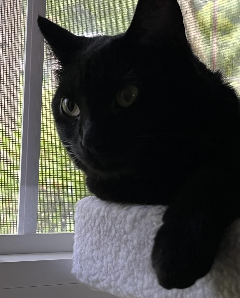 Primary Image for K3RJS