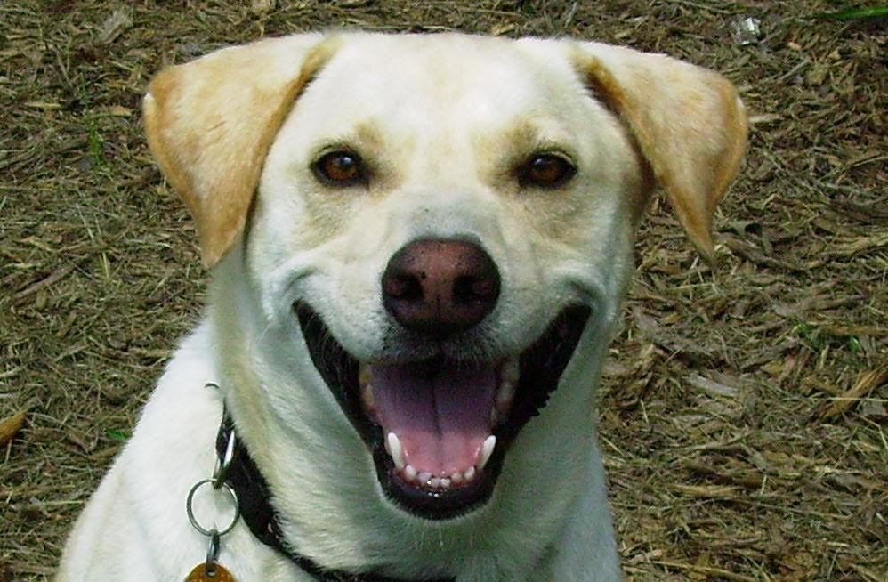 Primary Image for KB5WS