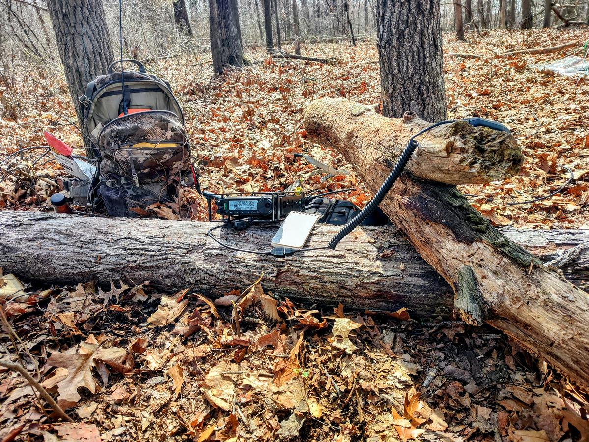 Primary Image for KD3AGS