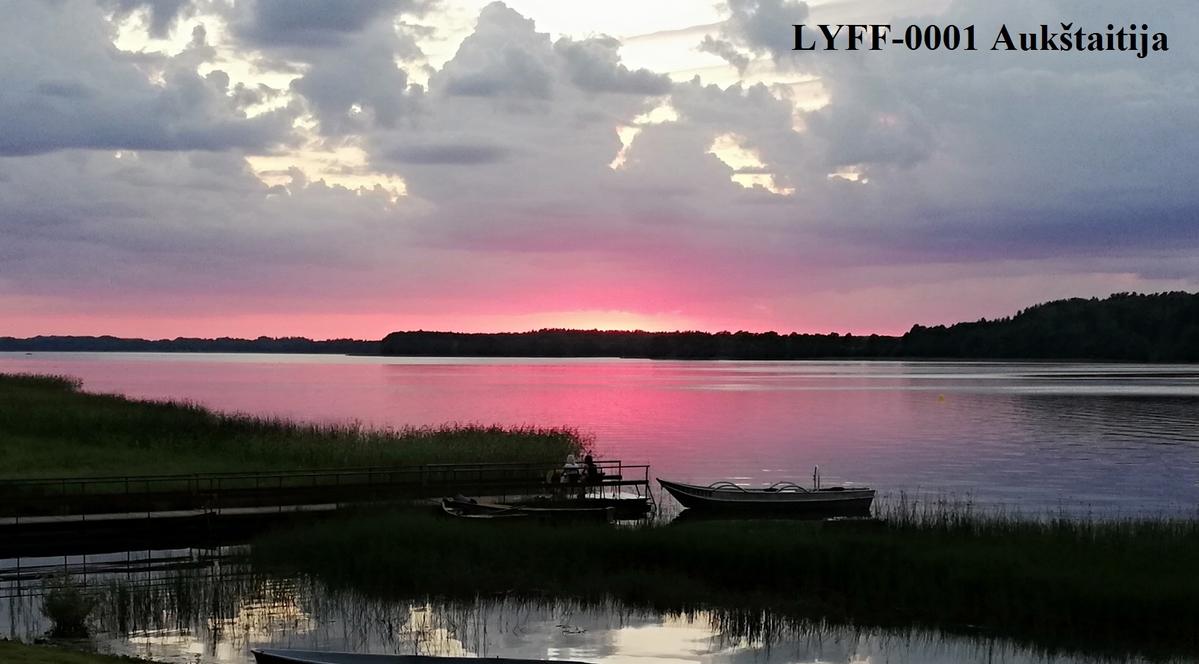 Primary Image for LY2BIS