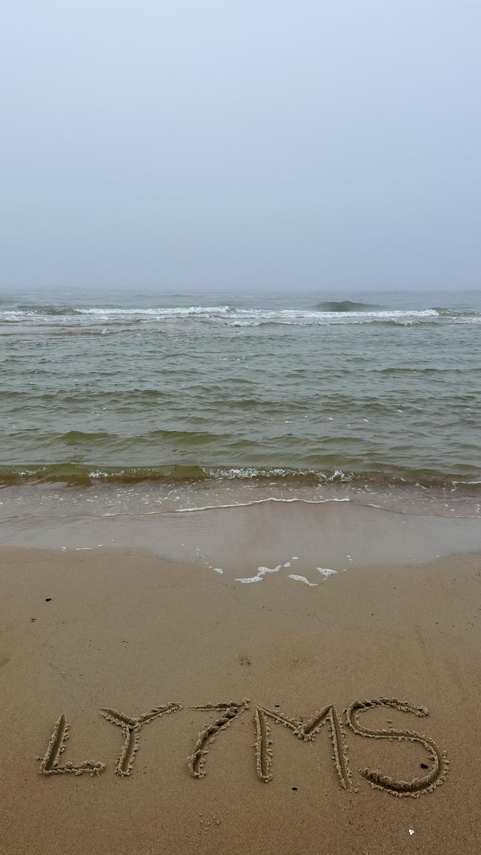 Primary Image for LY7MS