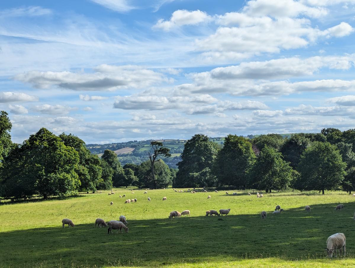 Primary Image for M7MFS