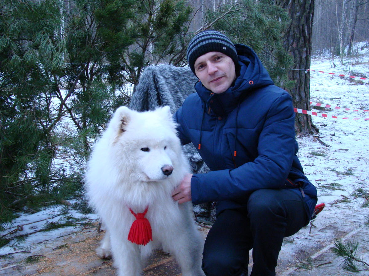 Primary Image for RN3QSS