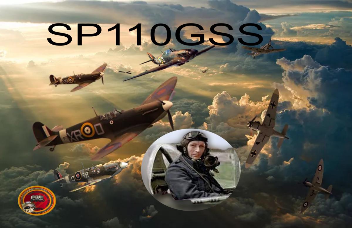 Primary Image for SP110GSS