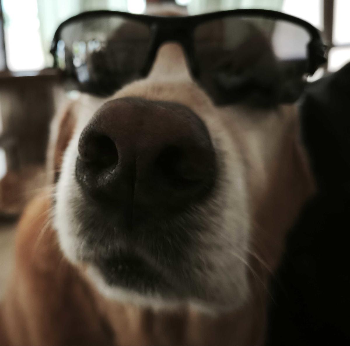 Primary Image for VE3HOS