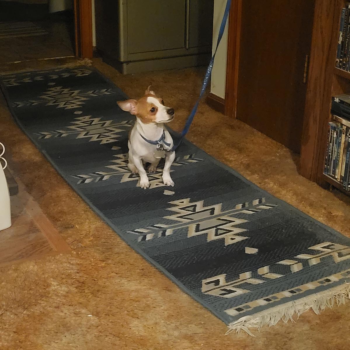 Primary Image for WN0KS