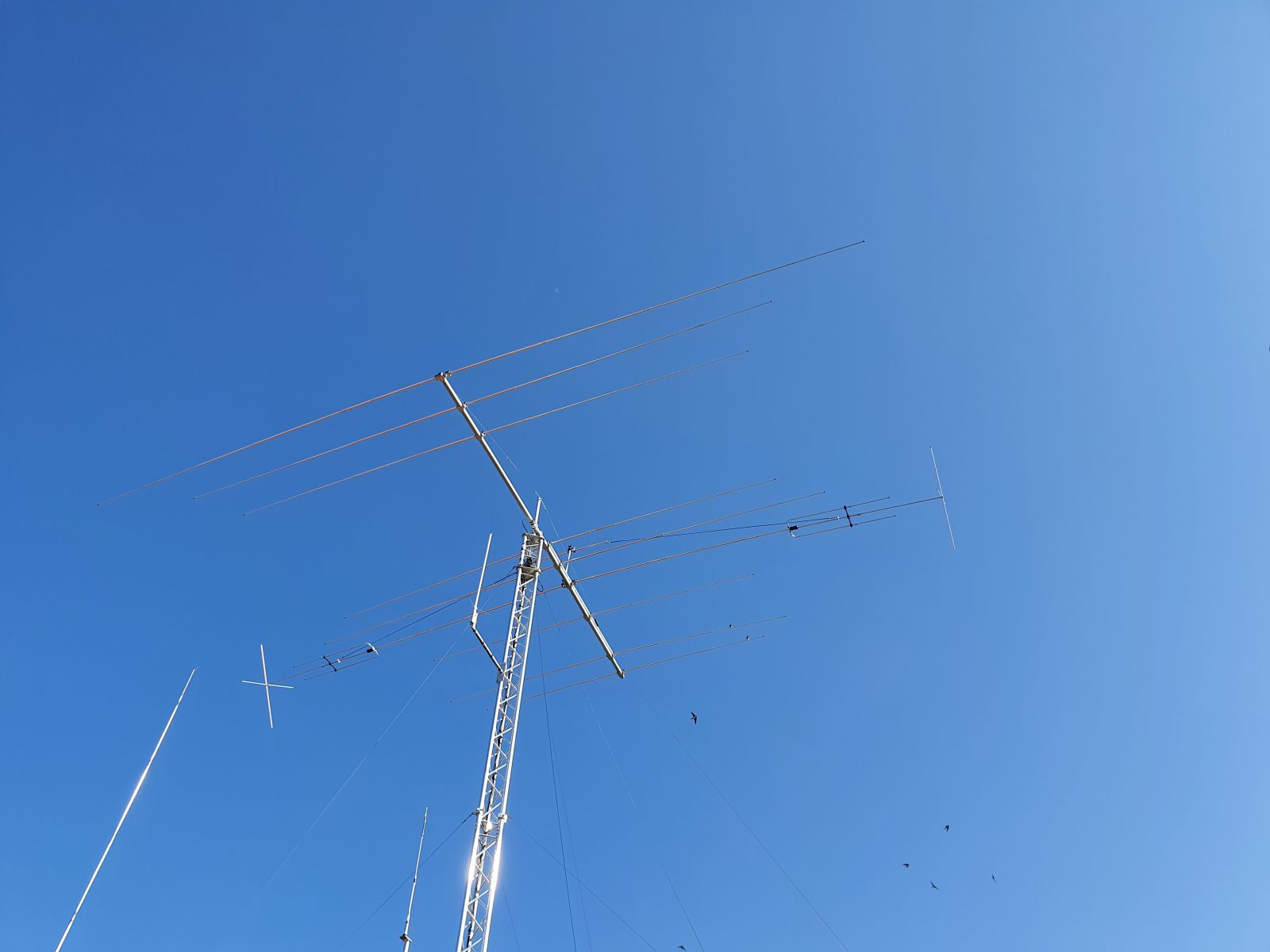 Primary Image for YO6PES