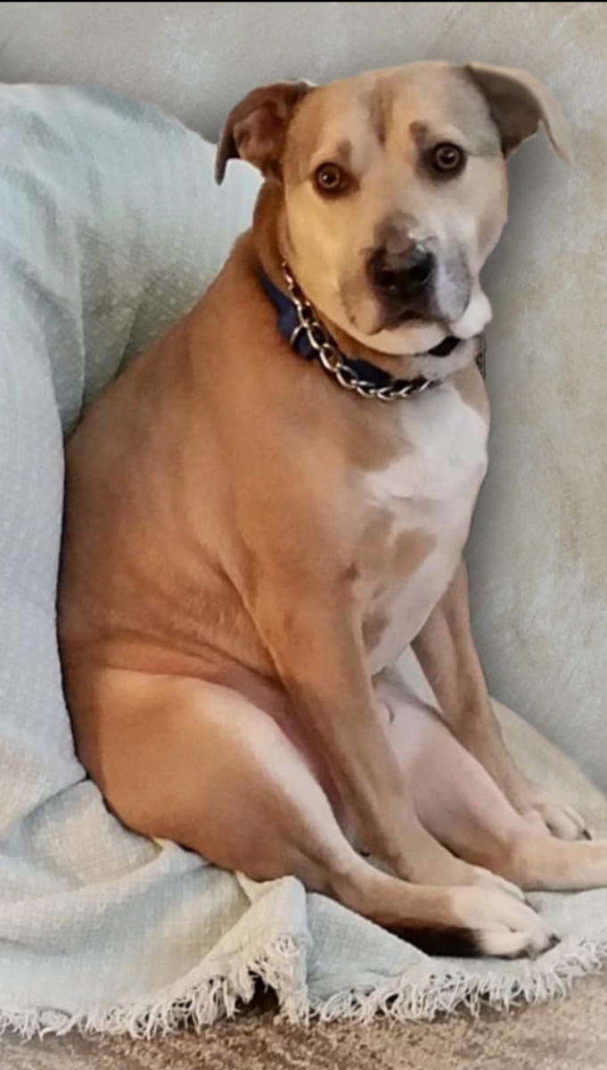 Primary Image for AA8TT