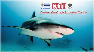 Primary Image for CX1T