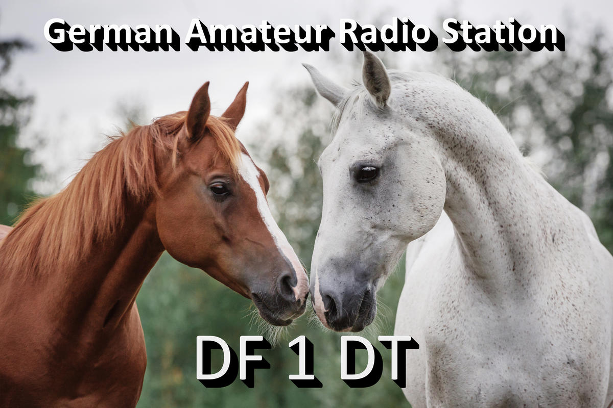Primary Image for DF1DT