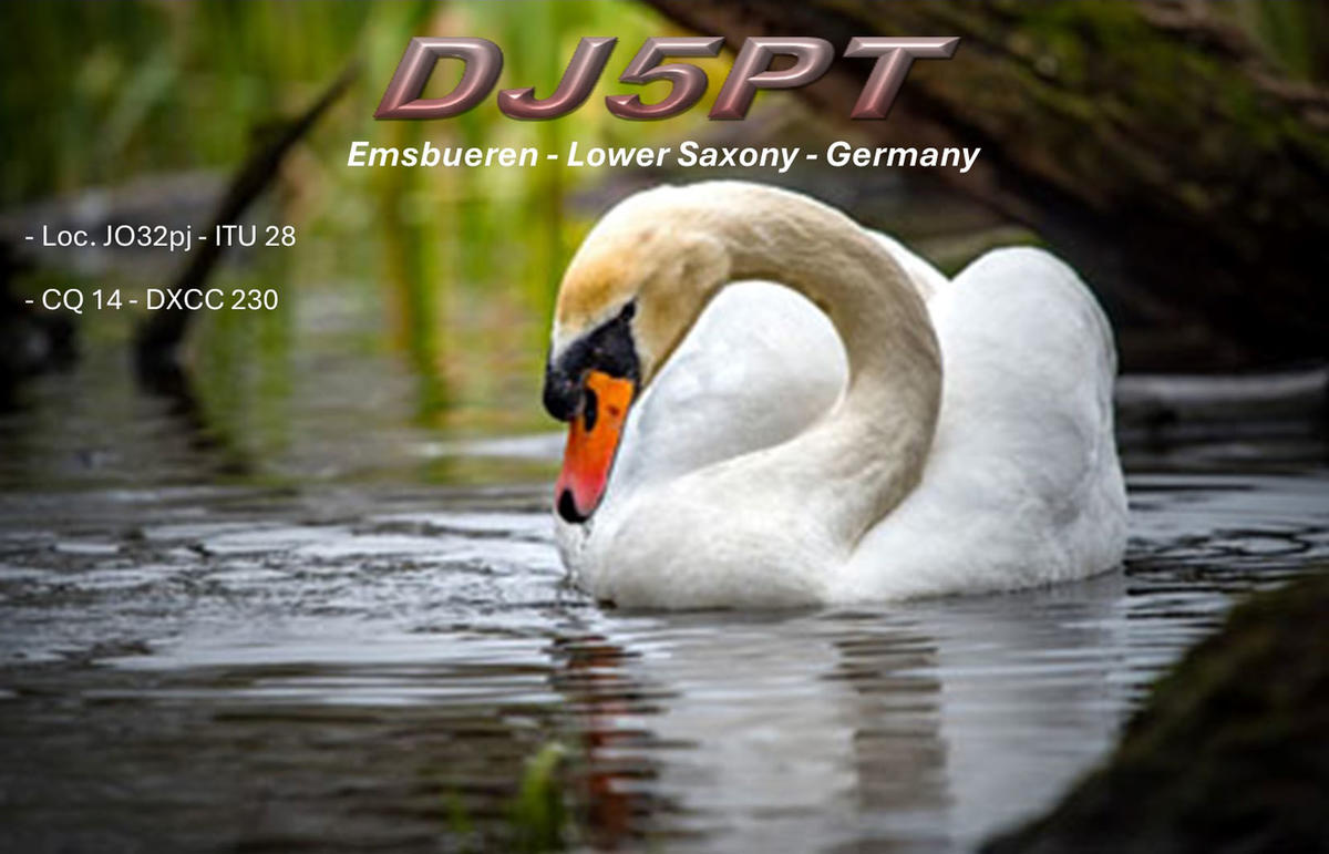 Primary Image for DJ5PT