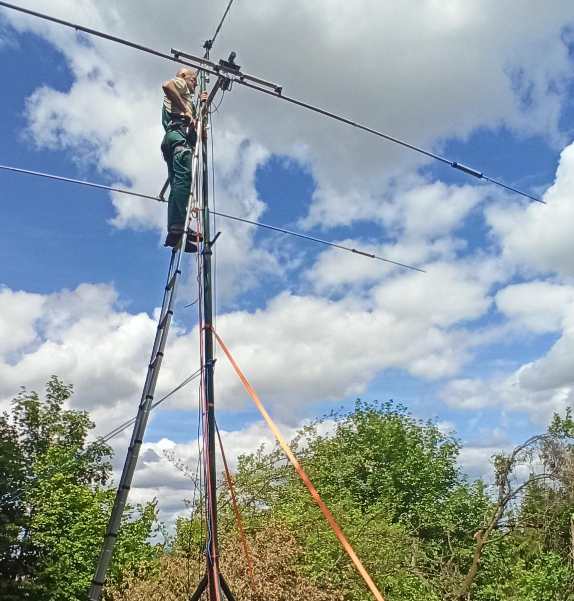 Primary Image for DL1DT