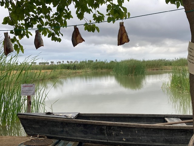 Primary Image for EA3AT