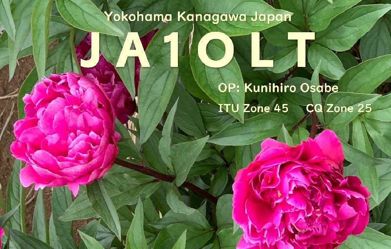 Primary Image for JA1OLT