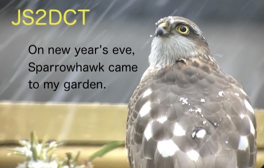 Primary Image for JS2DCT