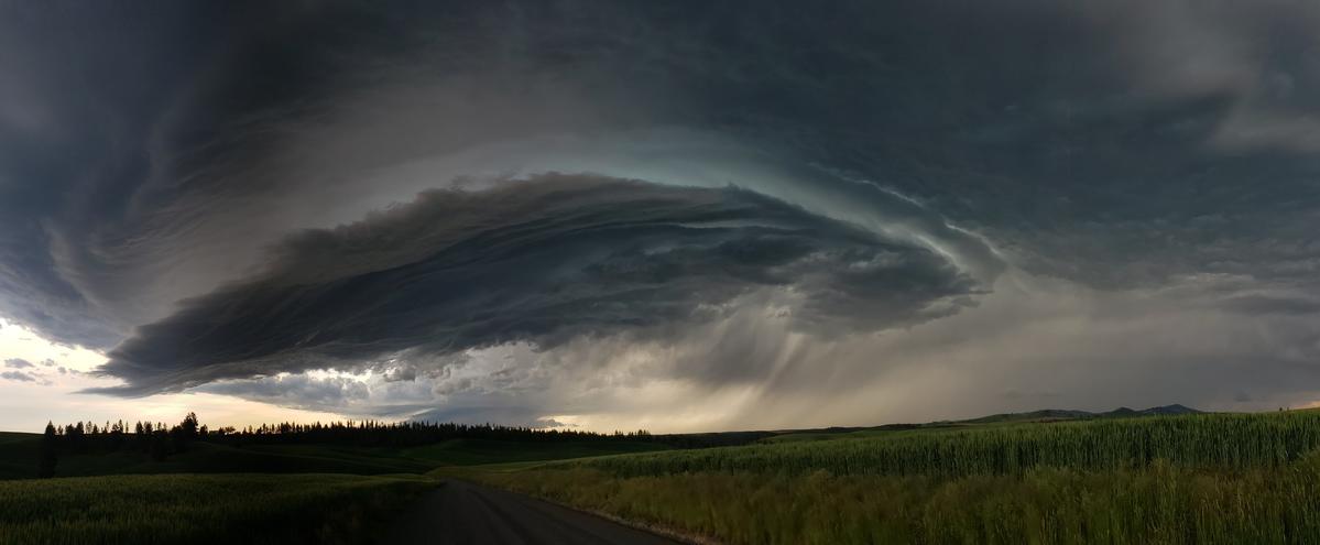 Primary Image for KN7BT