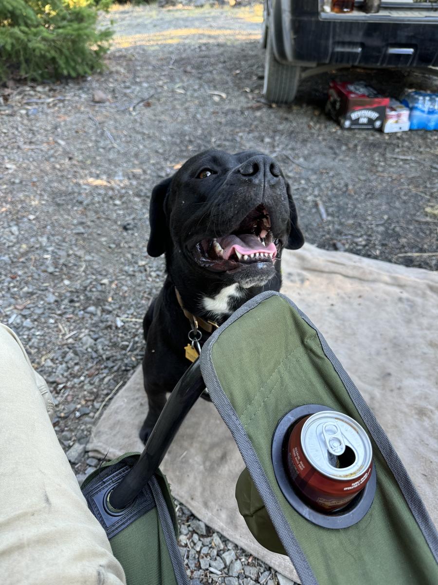 Primary Image for KO6HTT