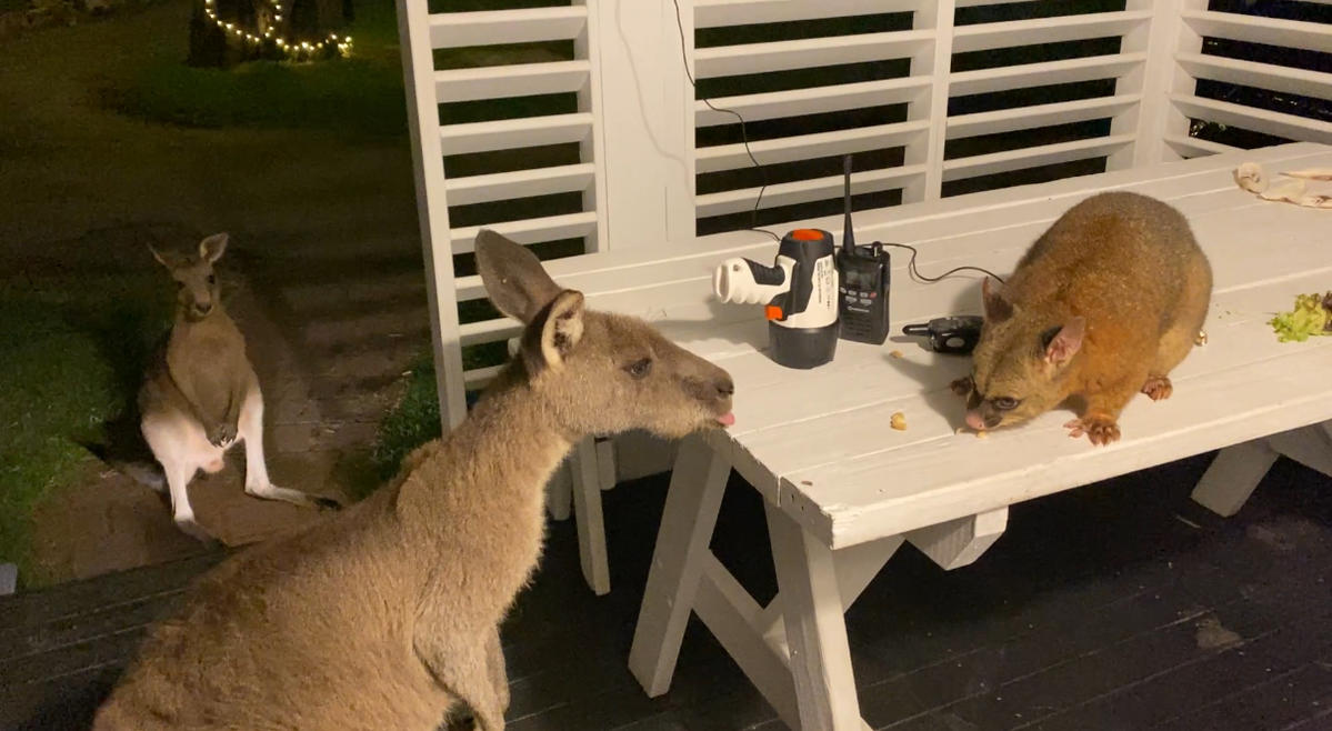 Primary Image for VK2AXT