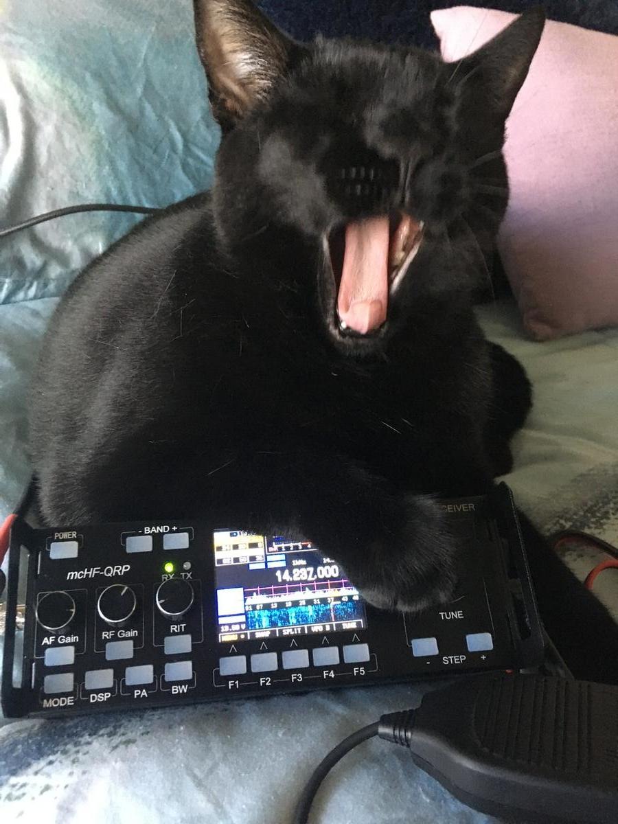 Primary Image for W3DRT