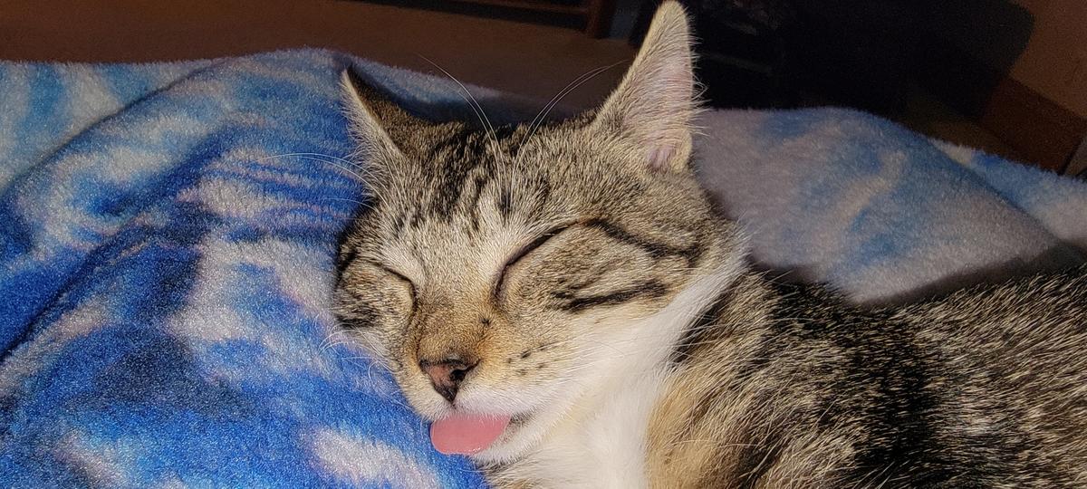 Primary Image for AF5IU