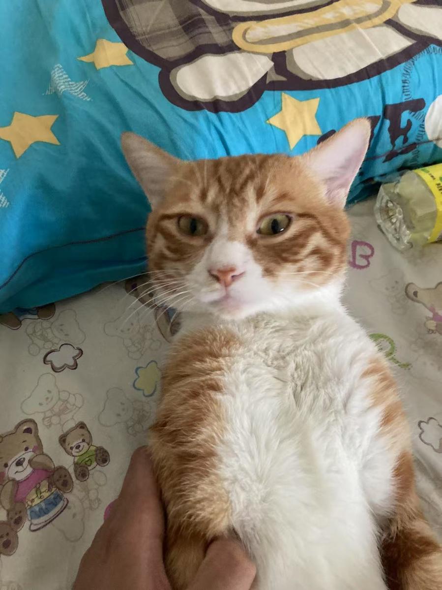 Primary Image for BD1BMU