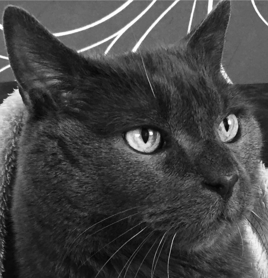 Primary Image for DF9BU