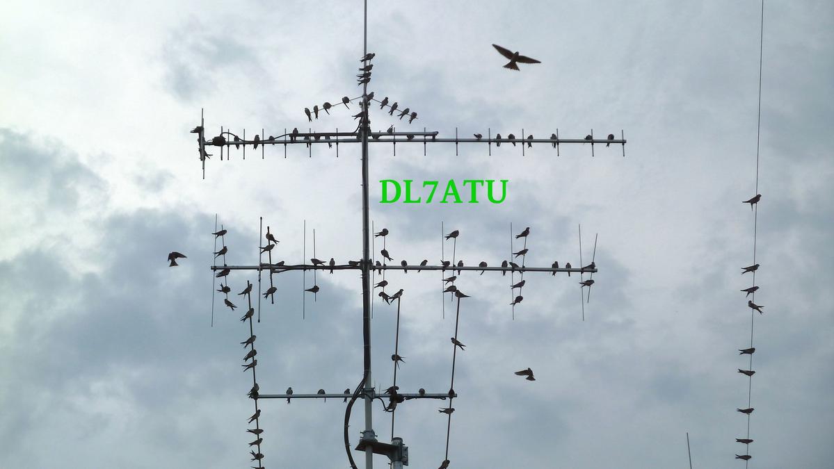 Primary Image for DL7ATU