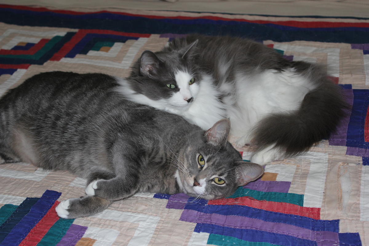 Primary Image for N0VYU