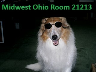 Primary Image for N8VTU