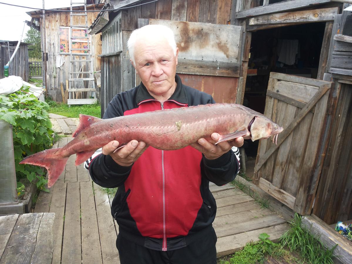 Primary Image for RA9FDU