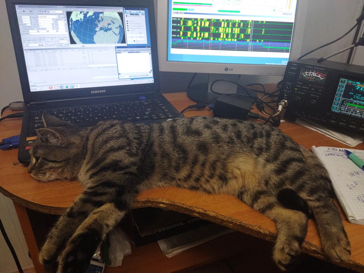 Primary Image for RW6MDU