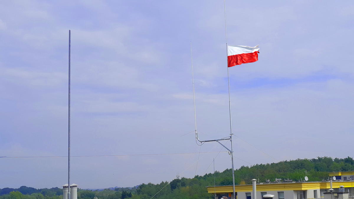 Primary Image for SP9DOU