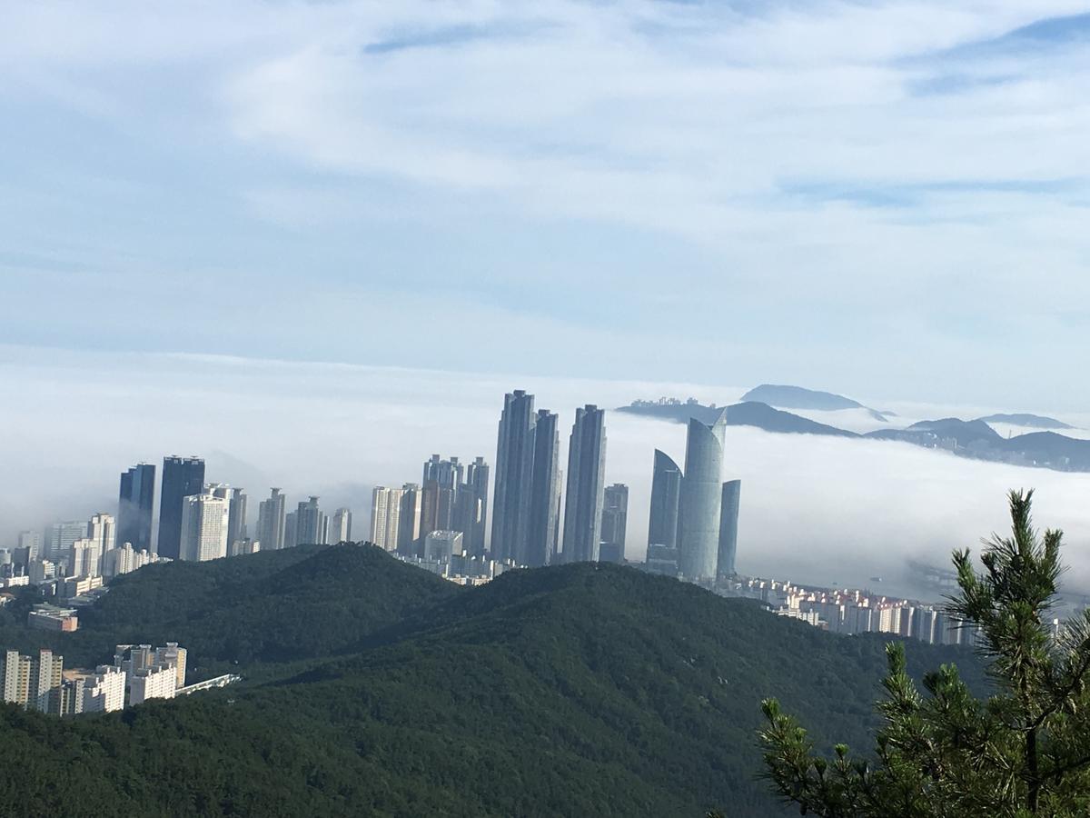 Primary Image for DS5APV