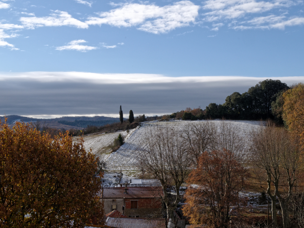 Primary Image for F4WFV