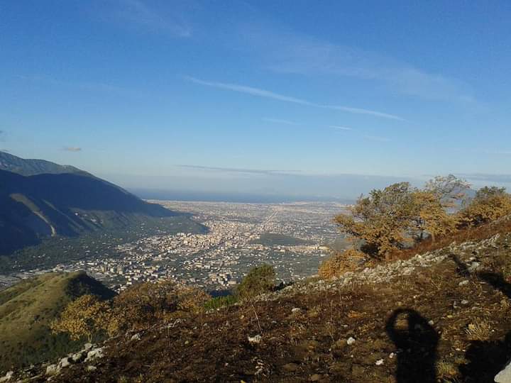 Primary Image for IU8IVV