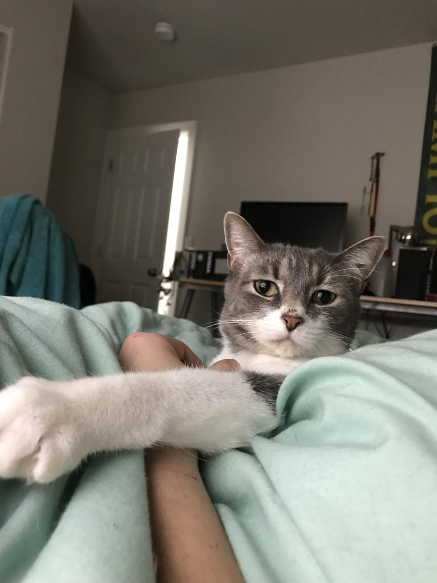 Primary Image for KI7HMV