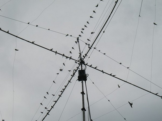 Primary Image for R3ZV