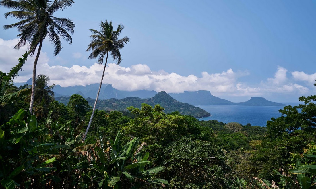 Primary Image for S9BV