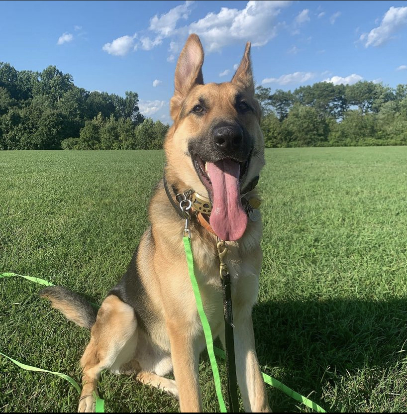 Primary Image for WU3V