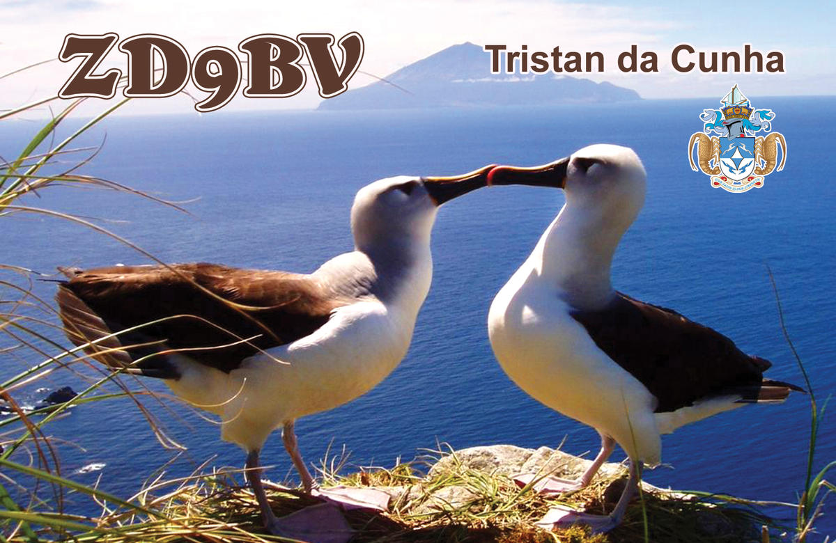 Primary Image for ZD9BV