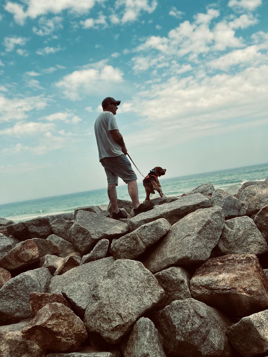 Primary Image for DB5TW