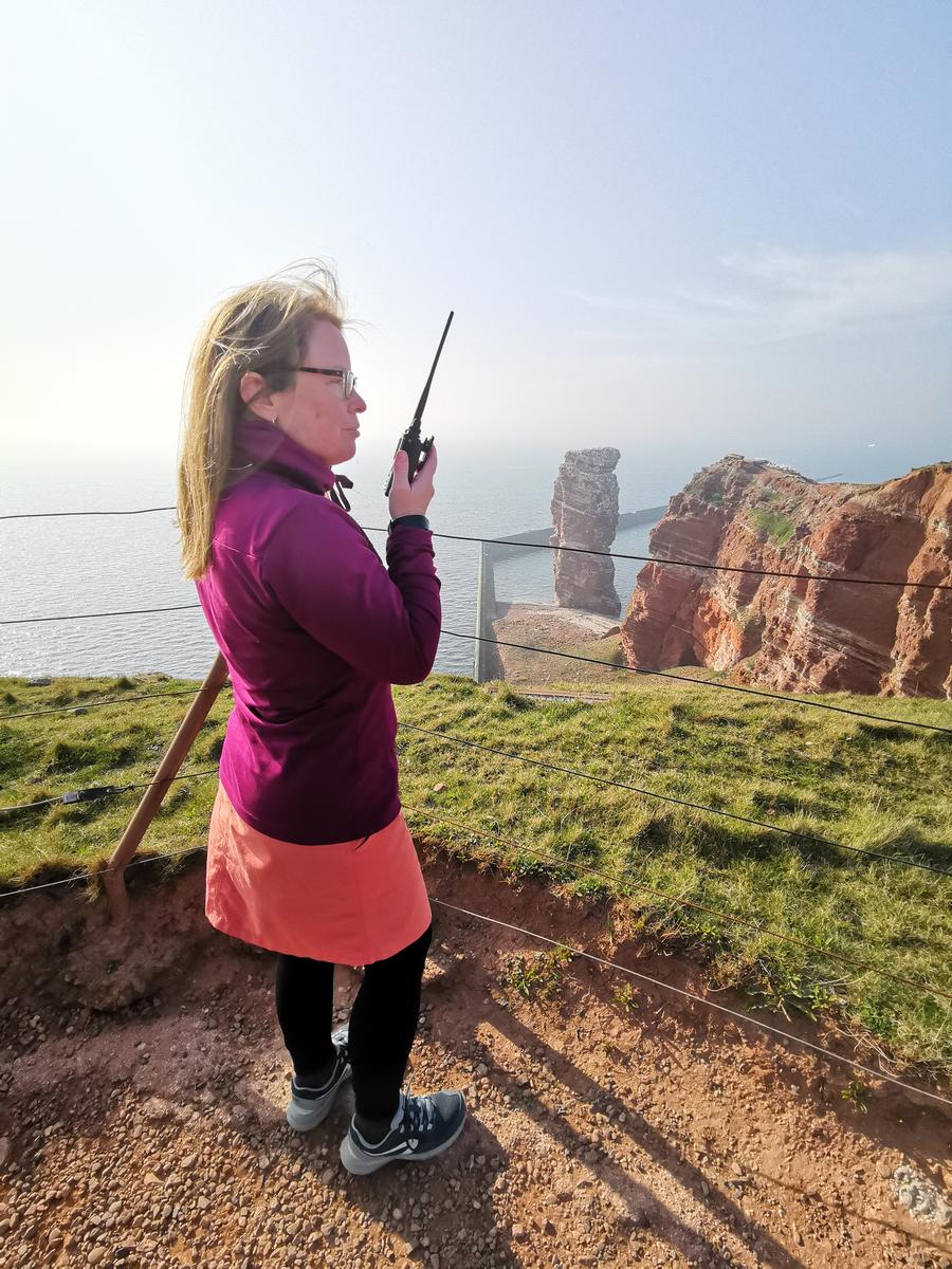 Primary Image for DD9NW