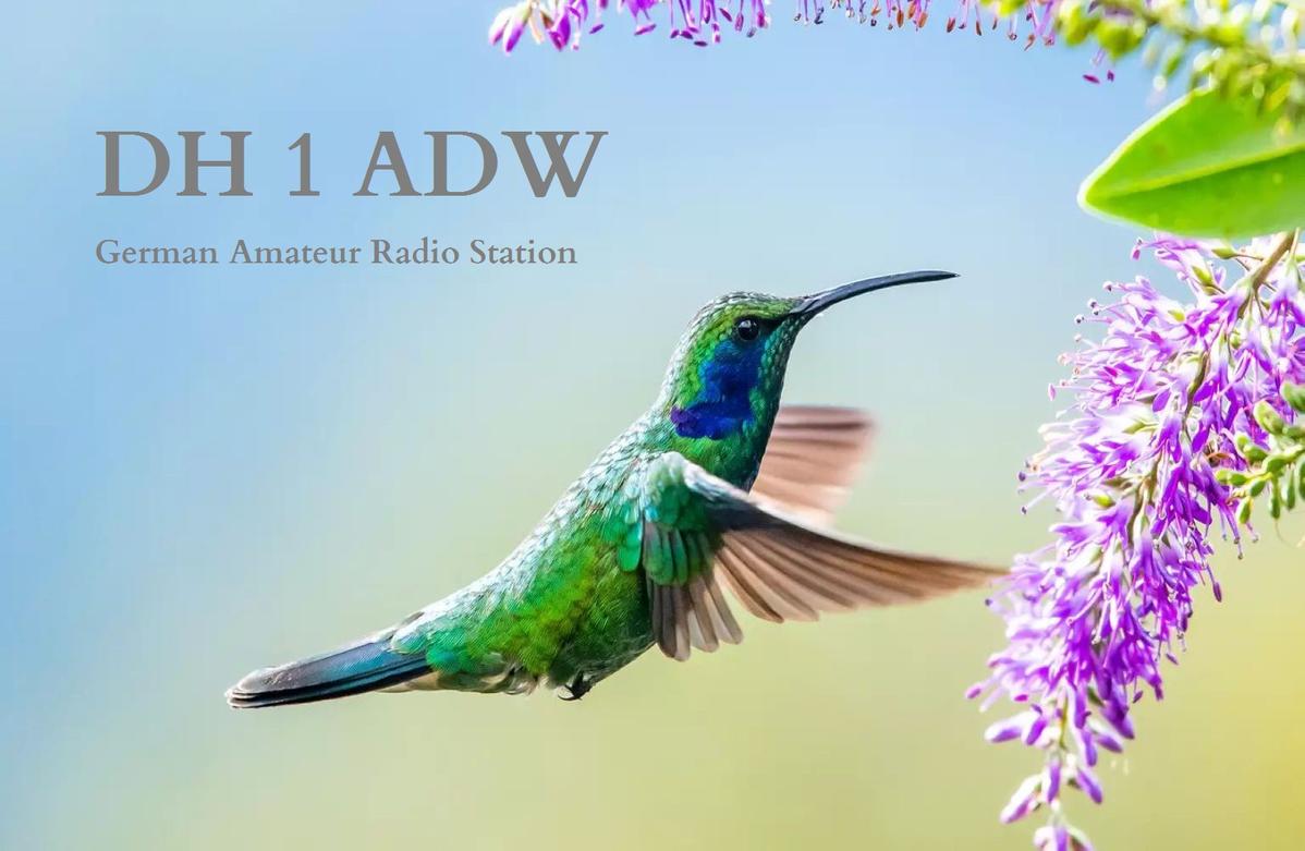 Primary Image for DH1ADW