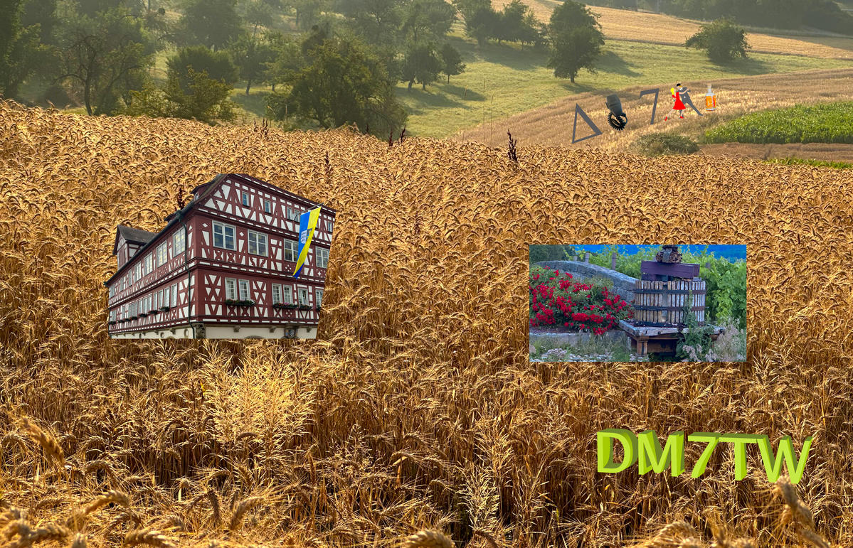 Primary Image for DM7TW