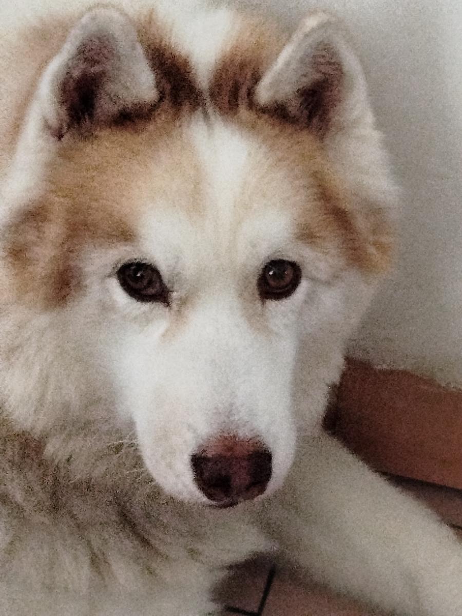 Primary Image for F6JUW