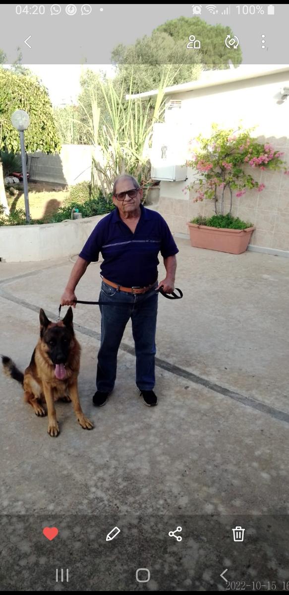 Primary Image for IT9ZGW