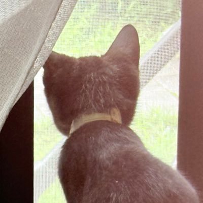 Primary Image for JS2SWW