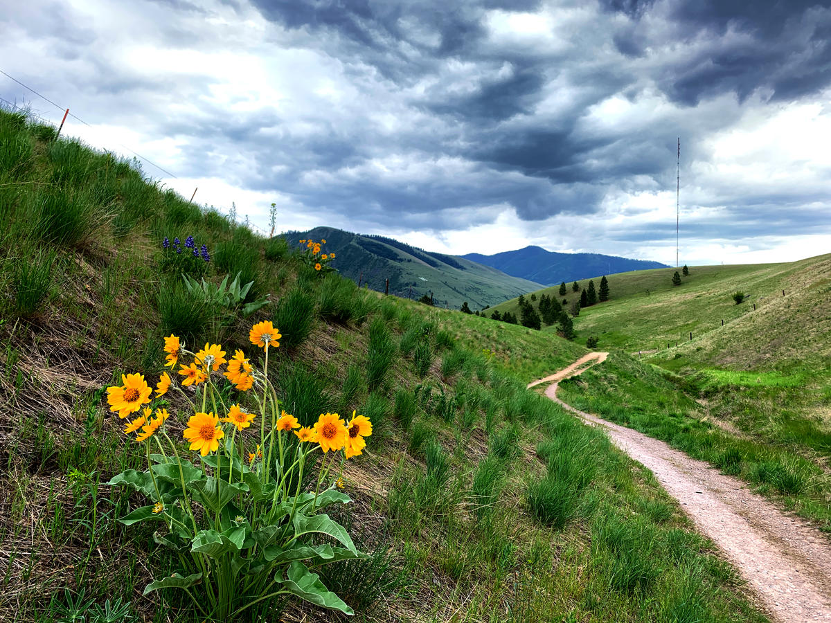 Primary Image for K4MEW